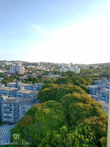 Apartamento 2 dorm, no Cristal, elevador, próximo ao Barra Shopping: 19ª foto da galeria de imagens do imóvel