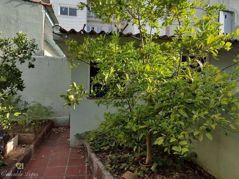 Casa térrea 3 dorm, Vila Ipiranga, próxima a Escola Santa Doroteia: 10ª foto da galeria de imagens do imóvel