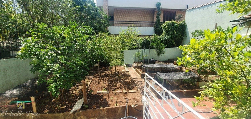 Casa térrea 3 dorm, Vila Ipiranga, próxima a Escola Santa Doroteia: 3ª foto da galeria de imagens do imóvel