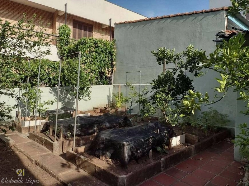 Casa térrea 3 dorm, Vila Ipiranga, próxima a Escola Santa Doroteia: 4ª foto da galeria de imagens do imóvel