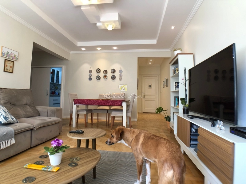 Apartamento 3 quartos, bairro Moinhos de Vento: 11ª foto da galeria de imagens do imóvel