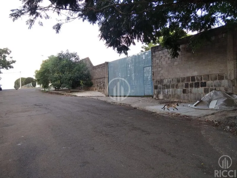 Terreno Bairro César Santos: 3ª foto da galeria de imagens do imóvel