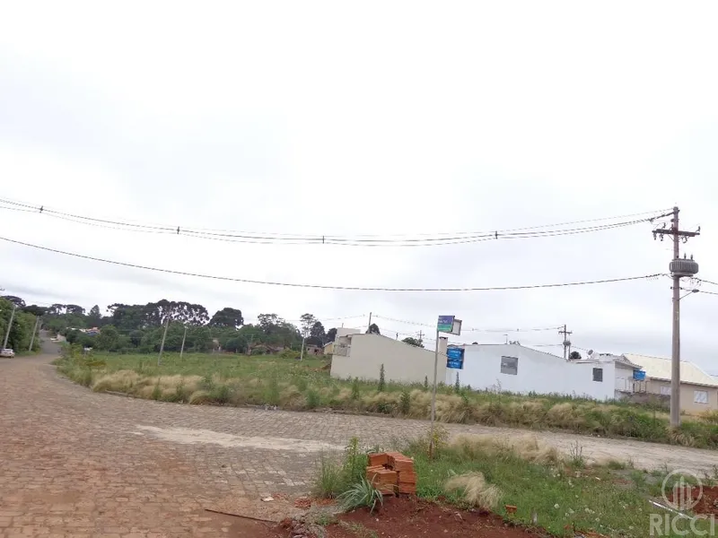 TERRENO LOTEAMENTO DOS PINHEIRAIS - BAIRRO SÃO JOÃO: 4ª foto da galeria de imagens do imóvel