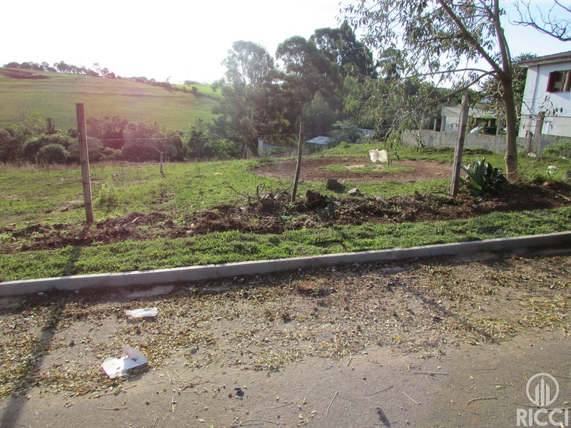 TERRENO GRANDE BAIRRO VERA CRUZ: 1ª foto da galeria de imagens do imóvel