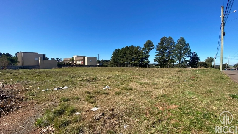 EXCELENTE ÁREA PARA EDIFICAÇÃO - 9.082,25 M² - BAIRRO DONÁRIA: 9ª foto da galeria de imagens do imóvel