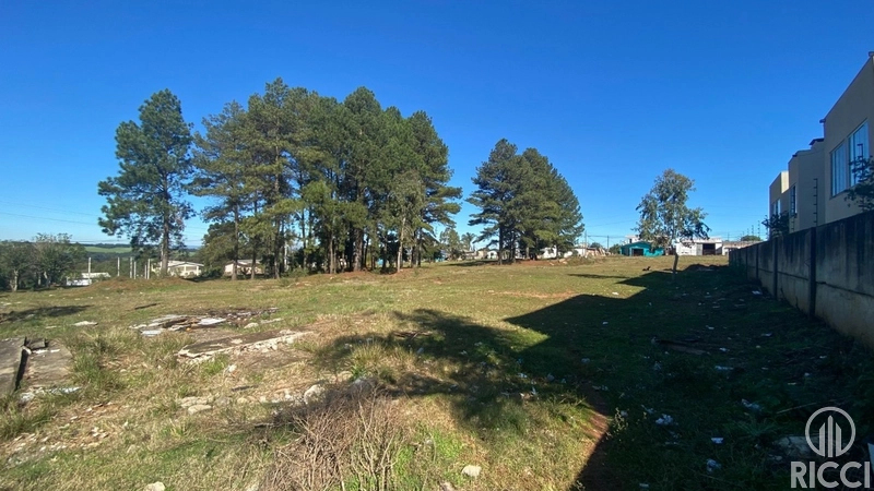 EXCELENTE ÁREA PARA EDIFICAÇÃO - 9.082,25 M² - BAIRRO DONÁRIA: 7ª foto da galeria de imagens do imóvel