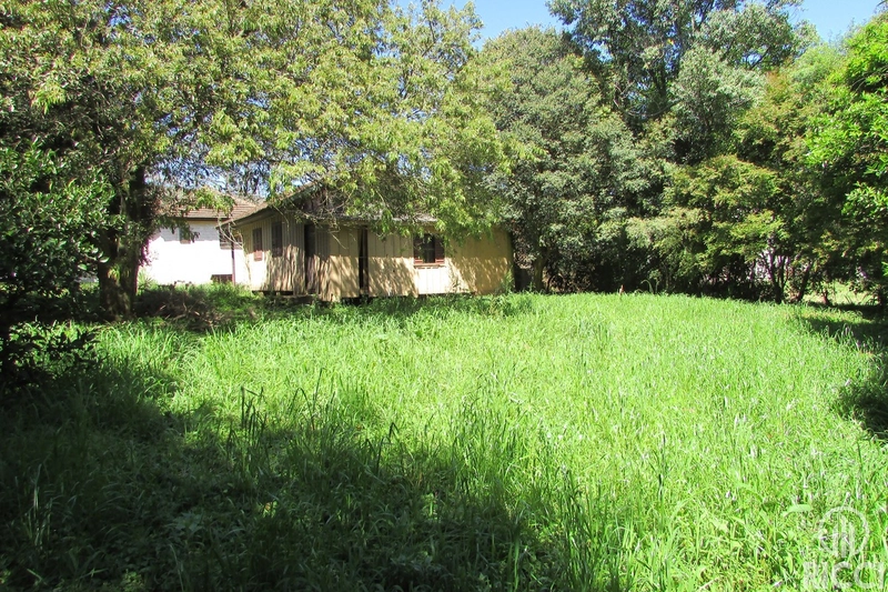 TERRENO COMERCIAL - A UMA QUADRA DA AV. PRES. VARGAS: 9ª foto da galeria de imagens do imóvel