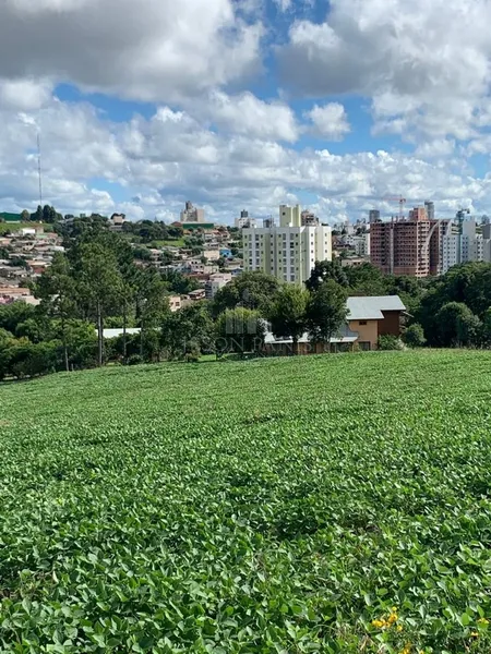 Terrenos no Walville: 4ª foto da galeria de imagens do imóvel