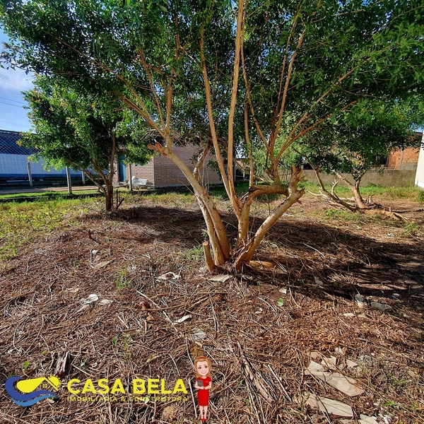 : 4ª foto da galeria de imagens do imóvel