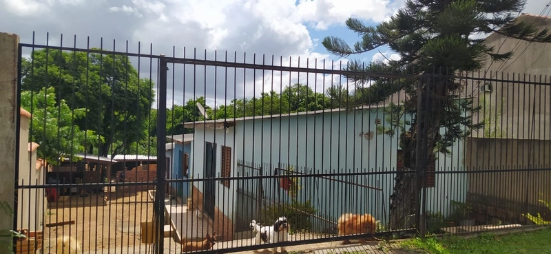 Terreno com 3 casas na Vila Nova: 4ª foto da galeria de imagens do imóvel
