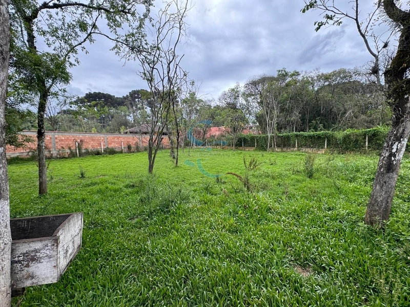 TERRENO UMBARÁ: 9ª foto da galeria de imagens do imóvel