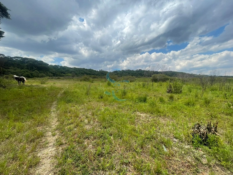 OPORTUNIDADE ÚNICA - TERRENO AMPLO BAIRRO GANCHINHO: 7ª foto da galeria de imagens do imóvel