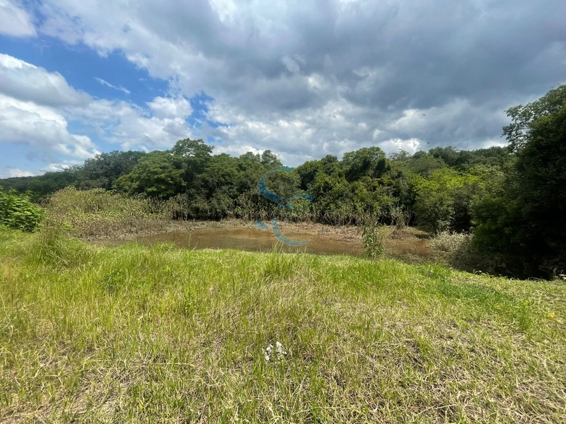 OPORTUNIDADE ÚNICA - TERRENO AMPLO BAIRRO GANCHINHO: 12ª foto da galeria de imagens do imóvel