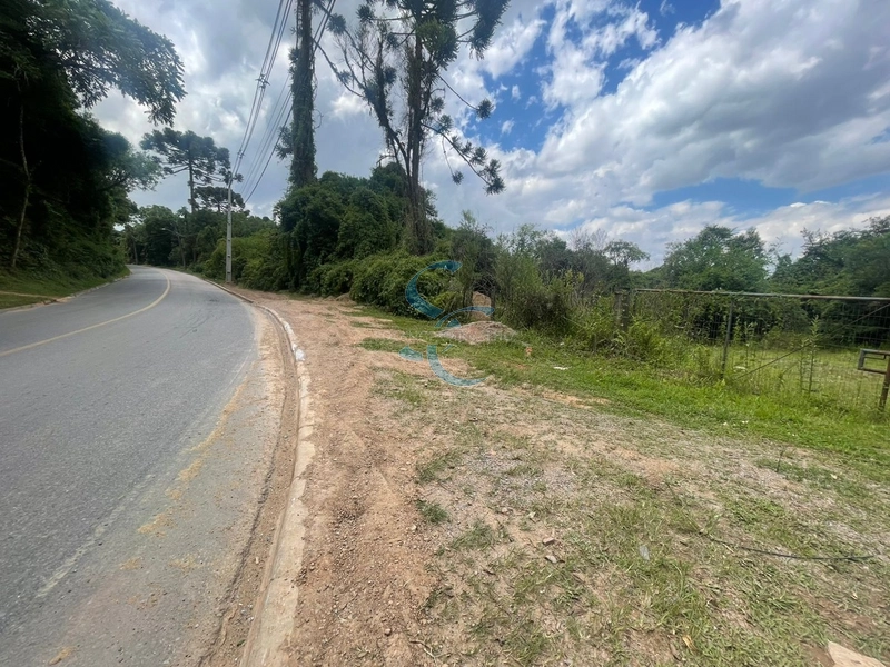 OPORTUNIDADE ÚNICA - TERRENO AMPLO BAIRRO GANCHINHO: 15ª foto da galeria de imagens do imóvel
