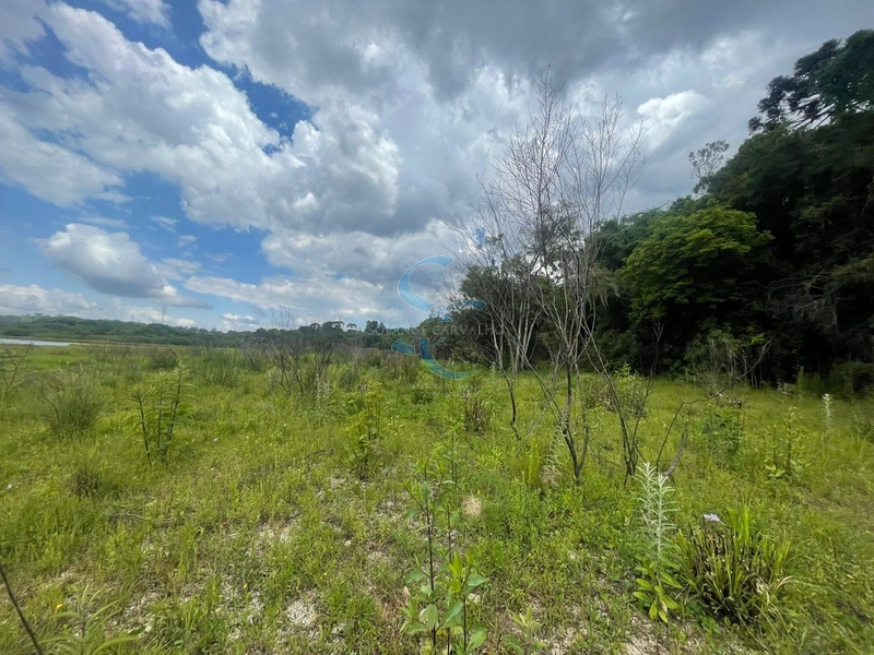 OPORTUNIDADE ÚNICA - TERRENO AMPLO BAIRRO GANCHINHO: 3ª foto da galeria de imagens do imóvel