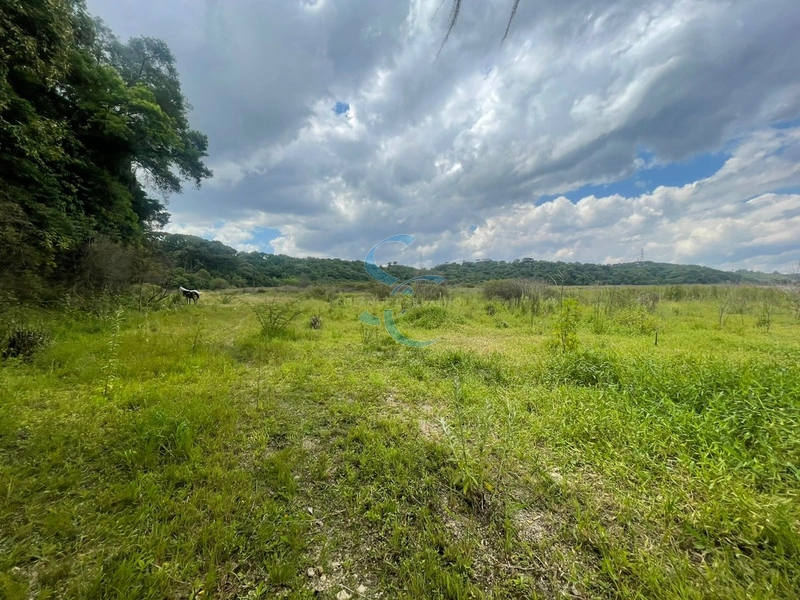 OPORTUNIDADE ÚNICA - TERRENO AMPLO BAIRRO GANCHINHO: 8ª foto da galeria de imagens do imóvel