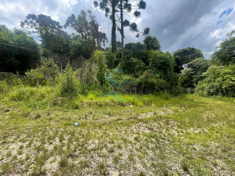 OPORTUNIDADE ÚNICA - TERRENO AMPLO BAIRRO GANCHINHO: 9ª foto da galeria de imagens do imóvel