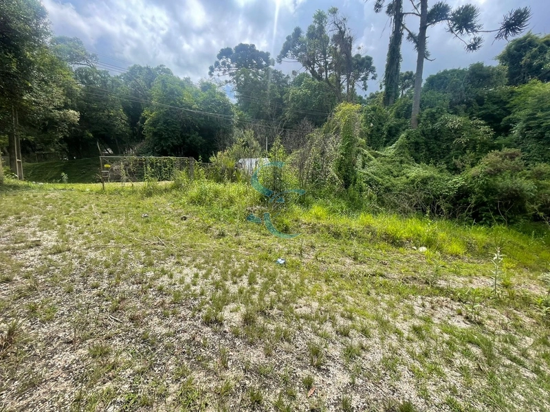 OPORTUNIDADE ÚNICA - TERRENO AMPLO BAIRRO GANCHINHO: 10ª foto da galeria de imagens do imóvel