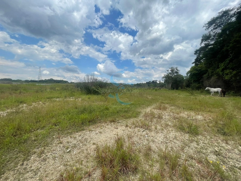 OPORTUNIDADE ÚNICA - TERRENO AMPLO BAIRRO GANCHINHO: 6ª foto da galeria de imagens do imóvel