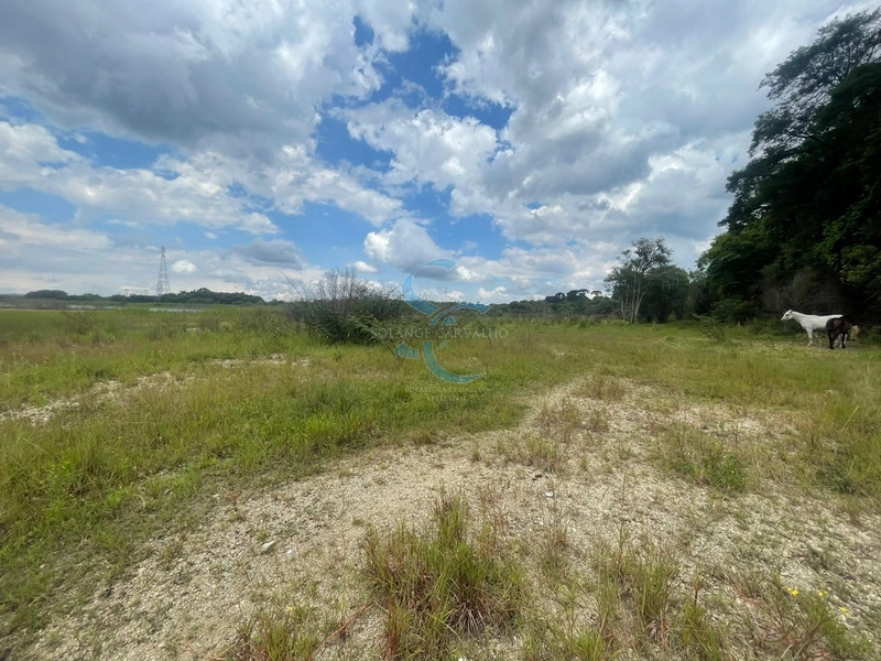 OPORTUNIDADE ÚNICA - TERRENO AMPLO BAIRRO GANCHINHO: 4ª foto da galeria de imagens do imóvel