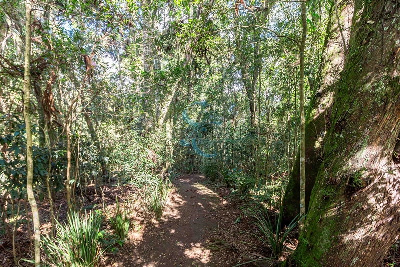 CASA TÉRREA COM 3 QUARTOS SENDO UMA SUÍTE: 48ª foto da galeria de imagens do imóvel