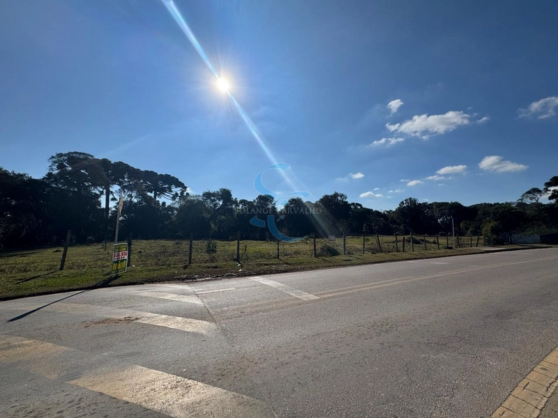 TERRENO COM LOCALICAÇÃO PRIVILEGIADA: 7ª foto da galeria de imagens do imóvel