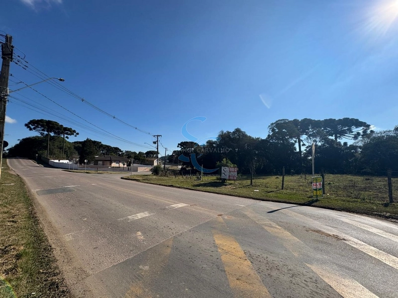 TERRENO COM LOCALICAÇÃO PRIVILEGIADA: 6ª foto da galeria de imagens do imóvel