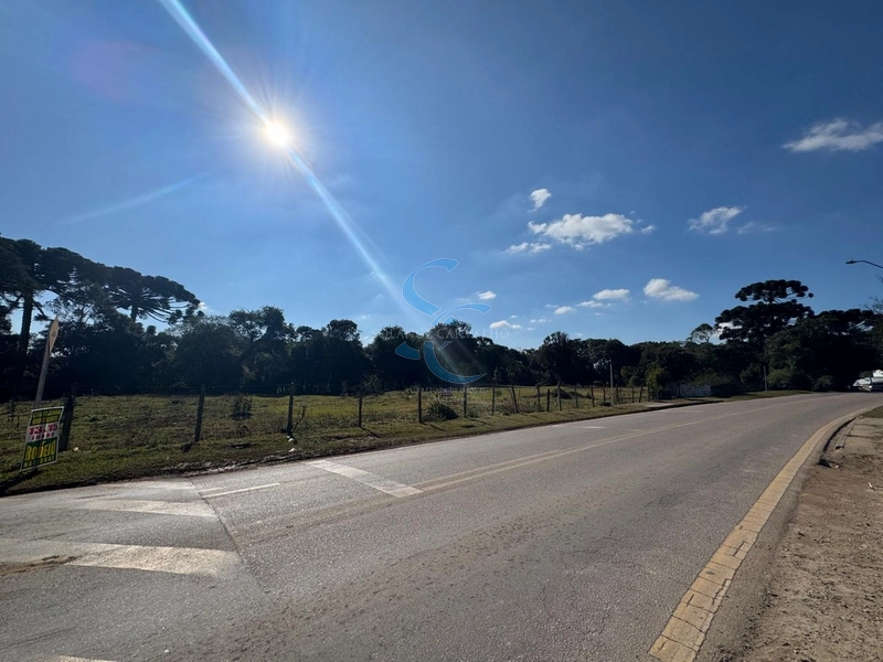 TERRENO COM LOCALICAÇÃO PRIVILEGIADA: 4ª foto da galeria de imagens do imóvel