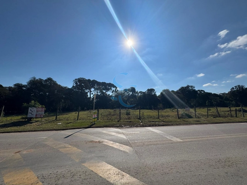 TERRENO COM LOCALICAÇÃO PRIVILEGIADA: 5ª foto da galeria de imagens do imóvel