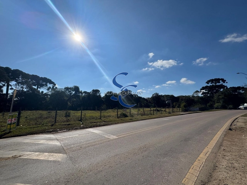 Terreno no Umbará: 2ª foto da galeria de imagens do imóvel