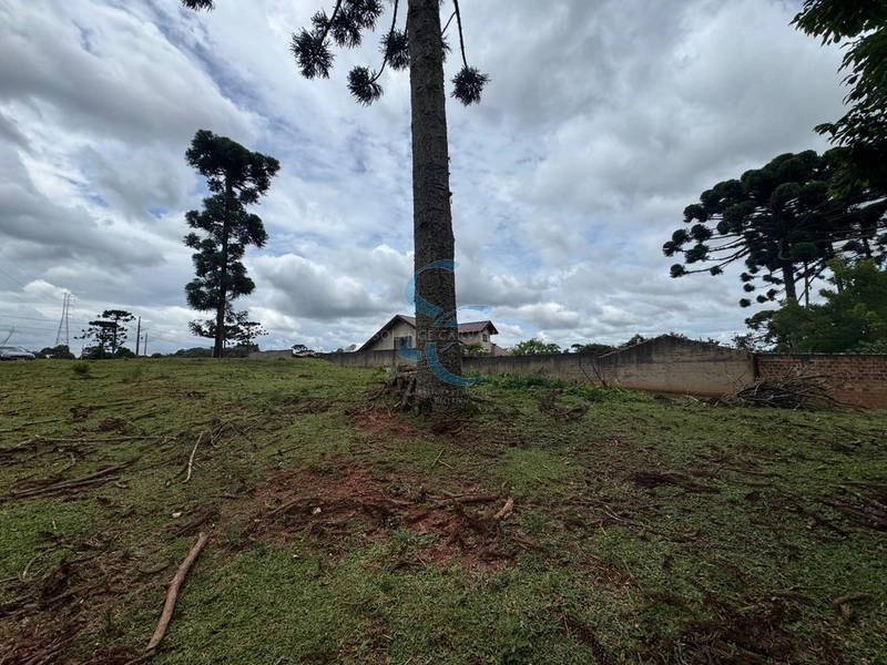 : 8ª foto da galeria de imagens do imóvel