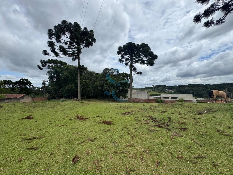: 7ª foto da galeria de imagens do imóvel