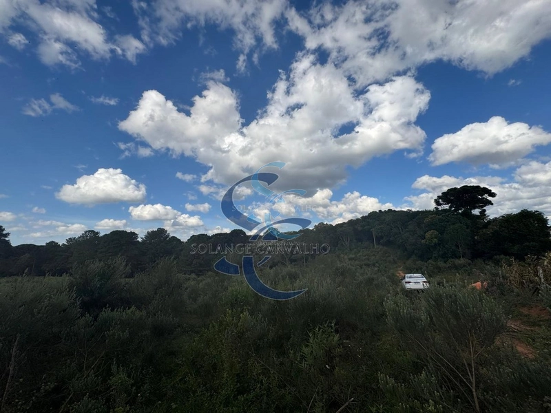 : 21ª foto da galeria de imagens do imóvel