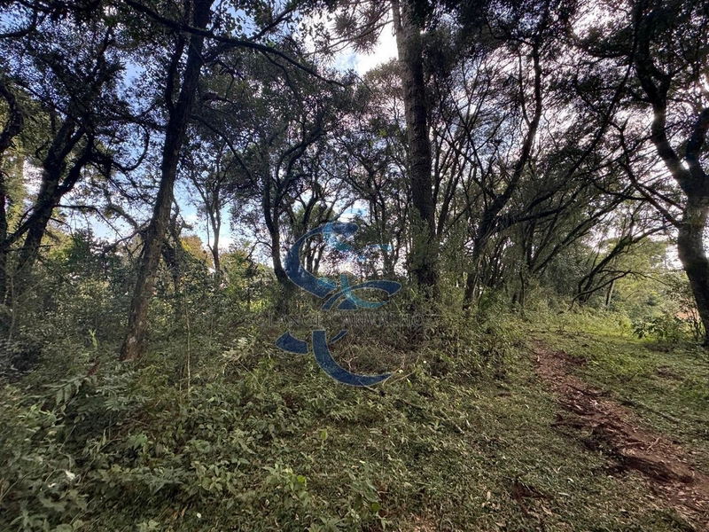 : 14ª foto da galeria de imagens do imóvel