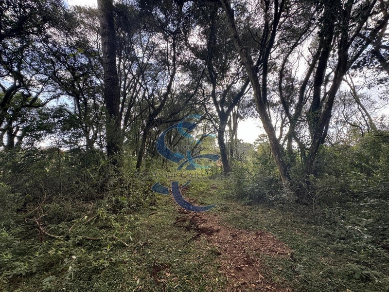 : 15ª foto da galeria de imagens do imóvel