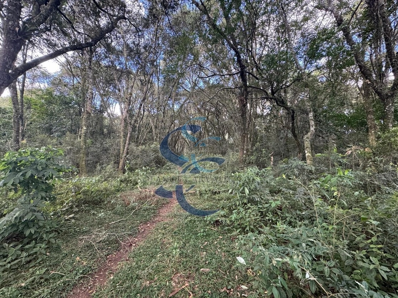: 12ª foto da galeria de imagens do imóvel