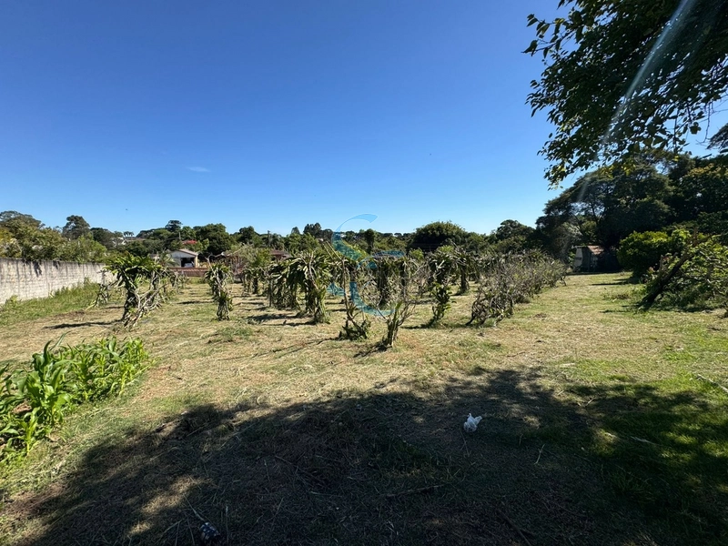 : 41ª foto da galeria de imagens do imóvel