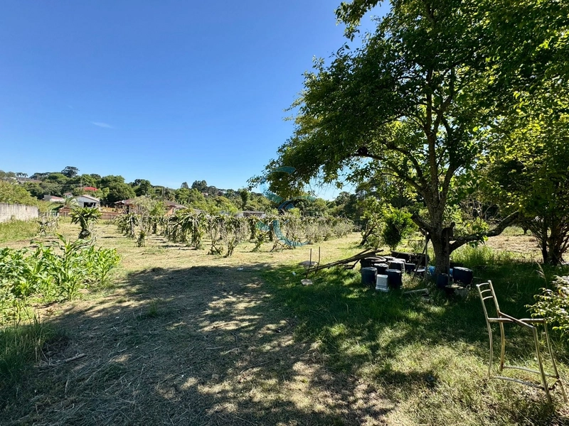 : 38ª foto da galeria de imagens do imóvel