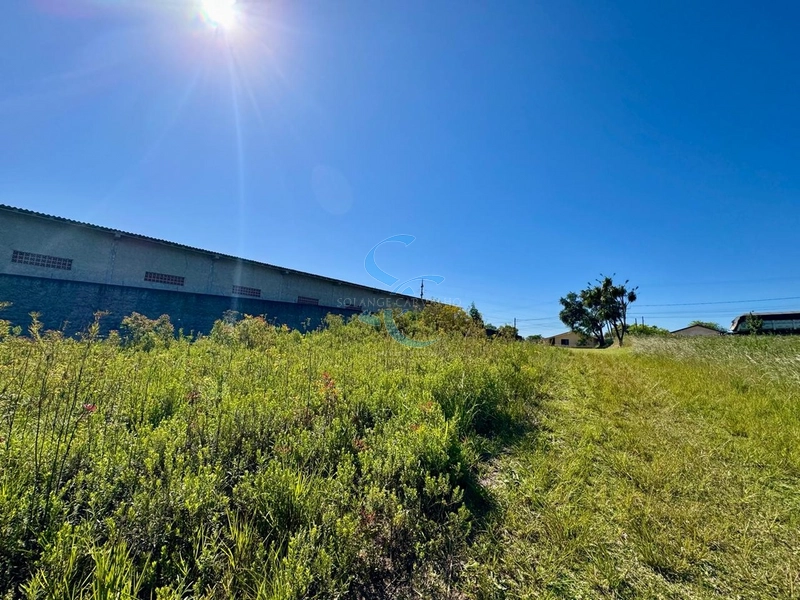 : 4ª foto da galeria de imagens do imóvel