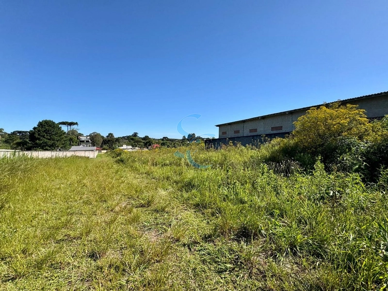 : 7ª foto da galeria de imagens do imóvel