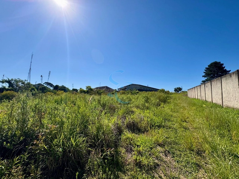 : 5ª foto da galeria de imagens do imóvel