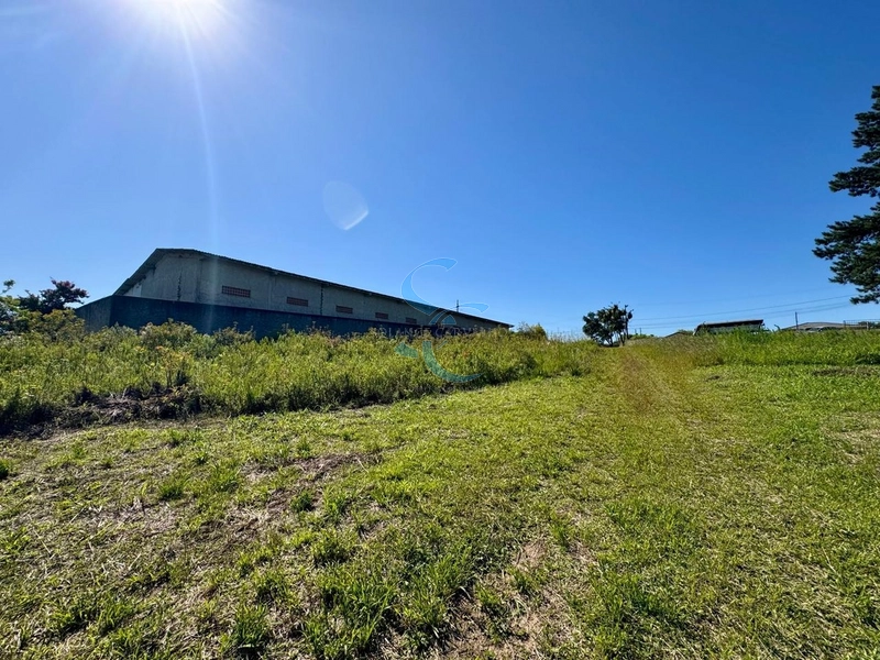 : 1ª foto da galeria de imagens do imóvel