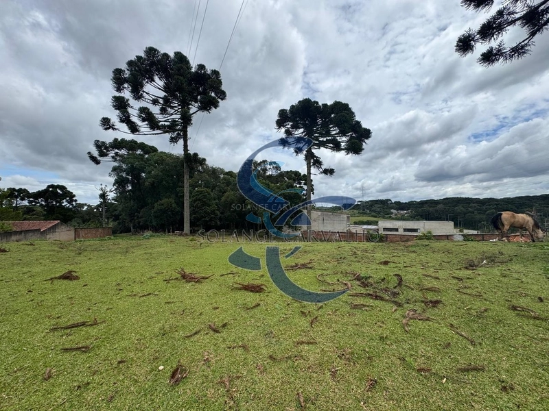 Terreno no Umbará: 15ª foto da galeria de imagens do imóvel