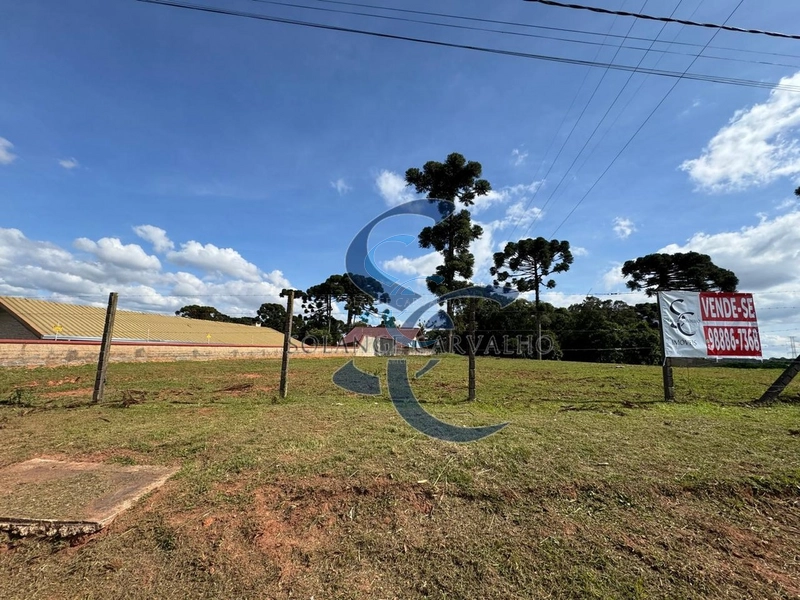 Terreno no Umbará: 4ª foto da galeria de imagens do imóvel