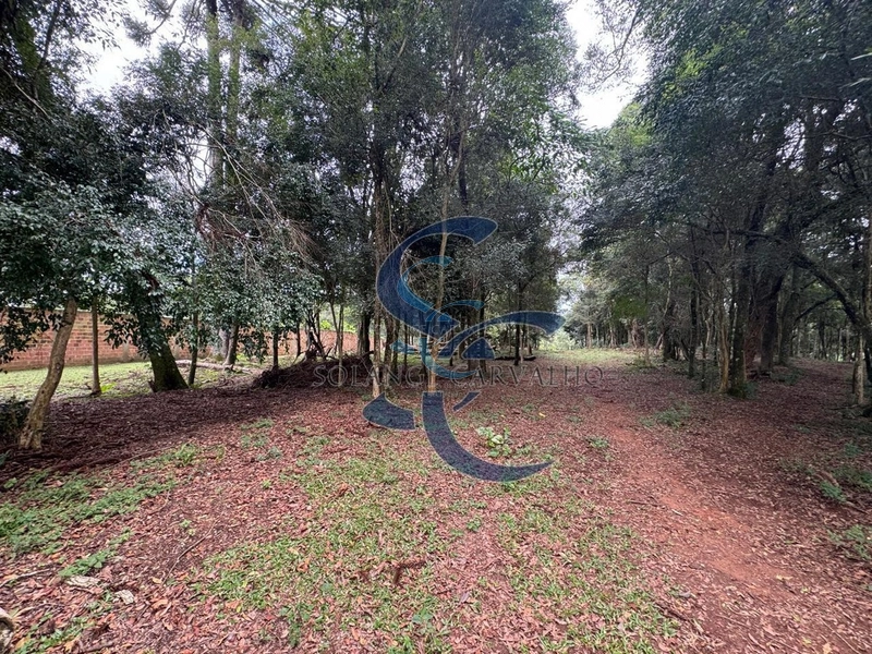 Terreno no Umbará: 17ª foto da galeria de imagens do imóvel