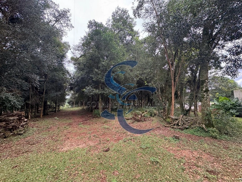 Terreno no Umbará: 12ª foto da galeria de imagens do imóvel