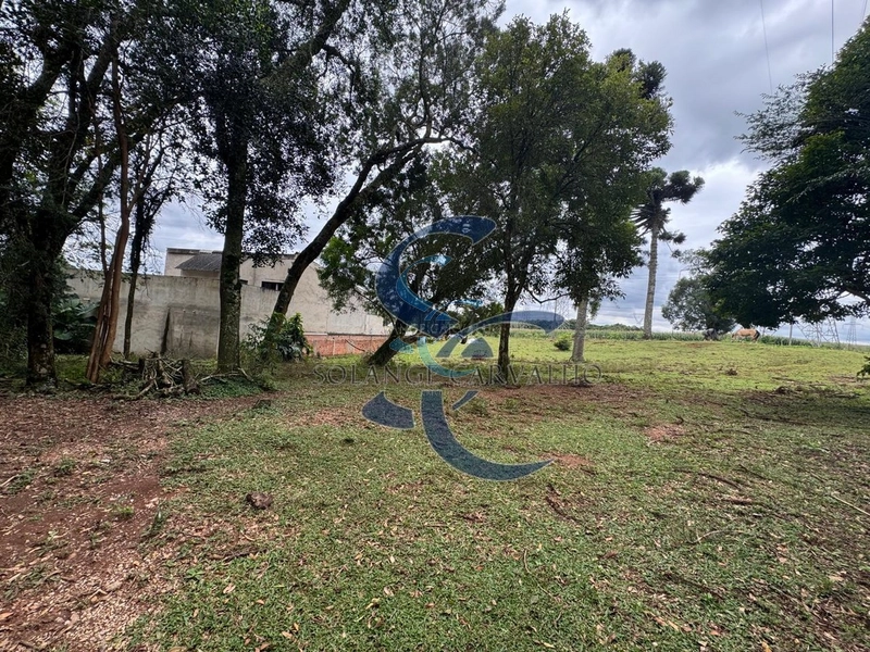 Terreno no Umbará: 13ª foto da galeria de imagens do imóvel