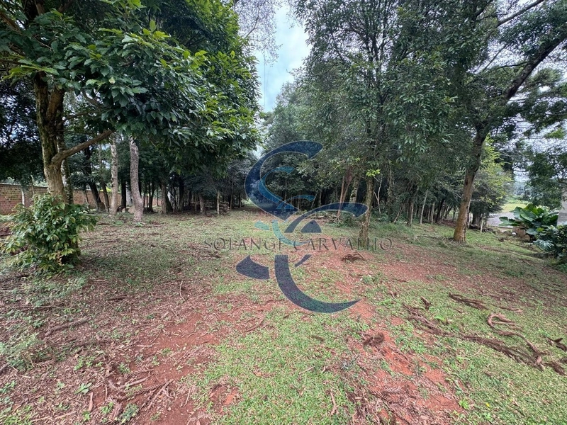 Terreno no Umbará: 10ª foto da galeria de imagens do imóvel