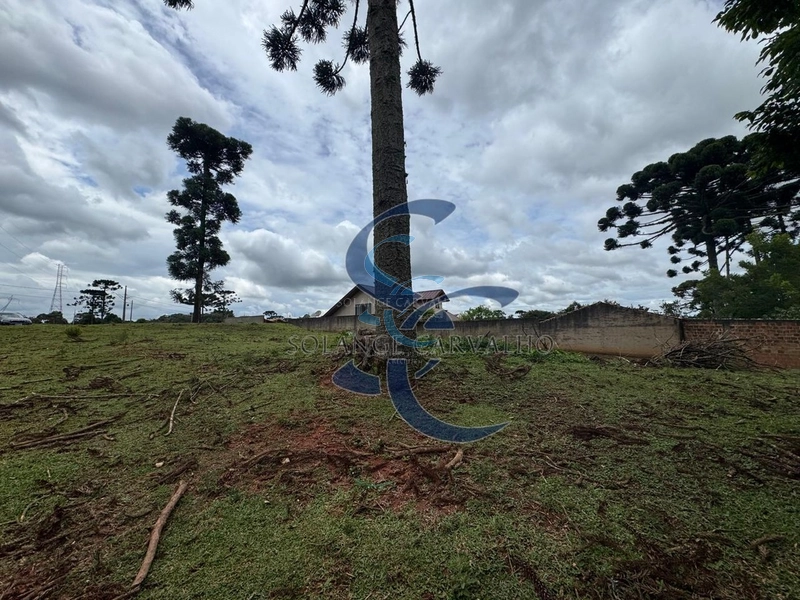 Terreno no Umbará: 14ª foto da galeria de imagens do imóvel