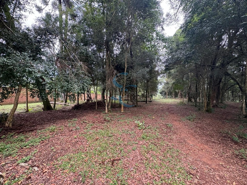 Terreno no Umbará: 2ª foto da galeria de imagens do imóvel